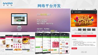 瓊海市互聯(lián)網(wǎng)協(xié)會會員風(fēng)采 海南新視野企業(yè)營銷策劃服務(wù)有限公司——深耕本土，智創(chuàng)未來